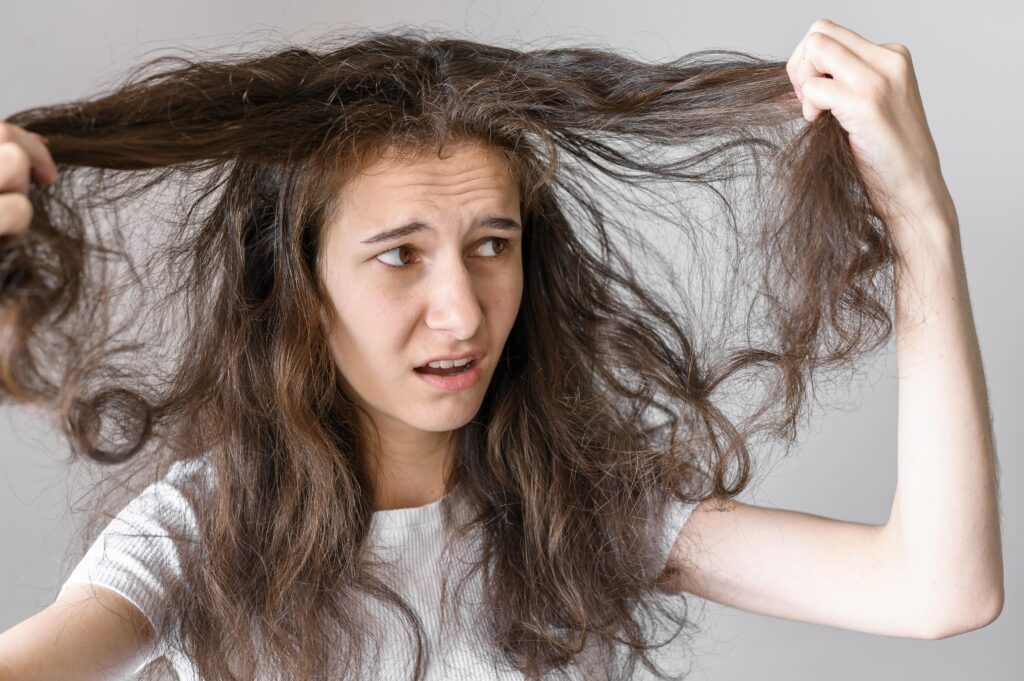 Frizzy Hair Fixes from a Haircut Salon in Forestdale Expert Tips