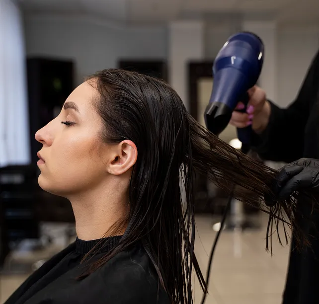 Professional-Wash-And-Blow-Dry