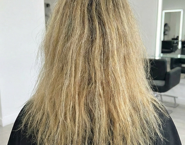 women’s hair colour foils Hillcrest