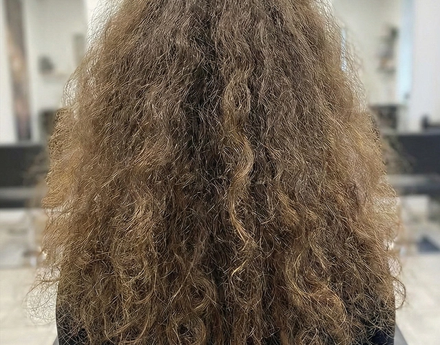 curly hair salon Hillcrest